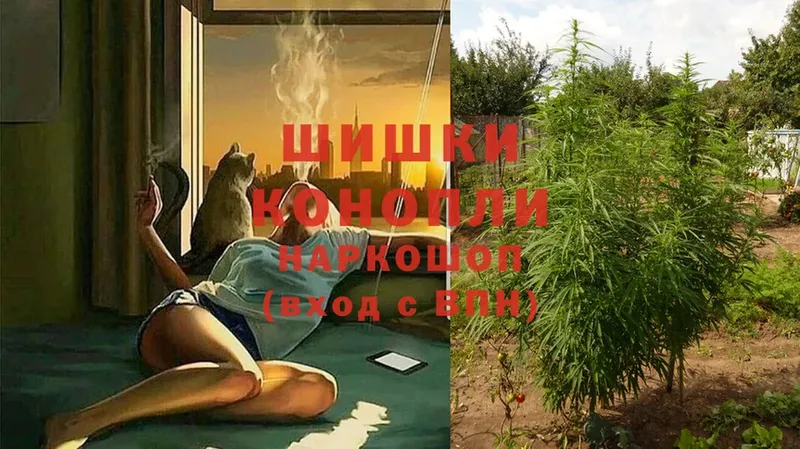 ссылка на мегу ссылки  Великий Устюг  Марихуана Ganja  купить наркоту 